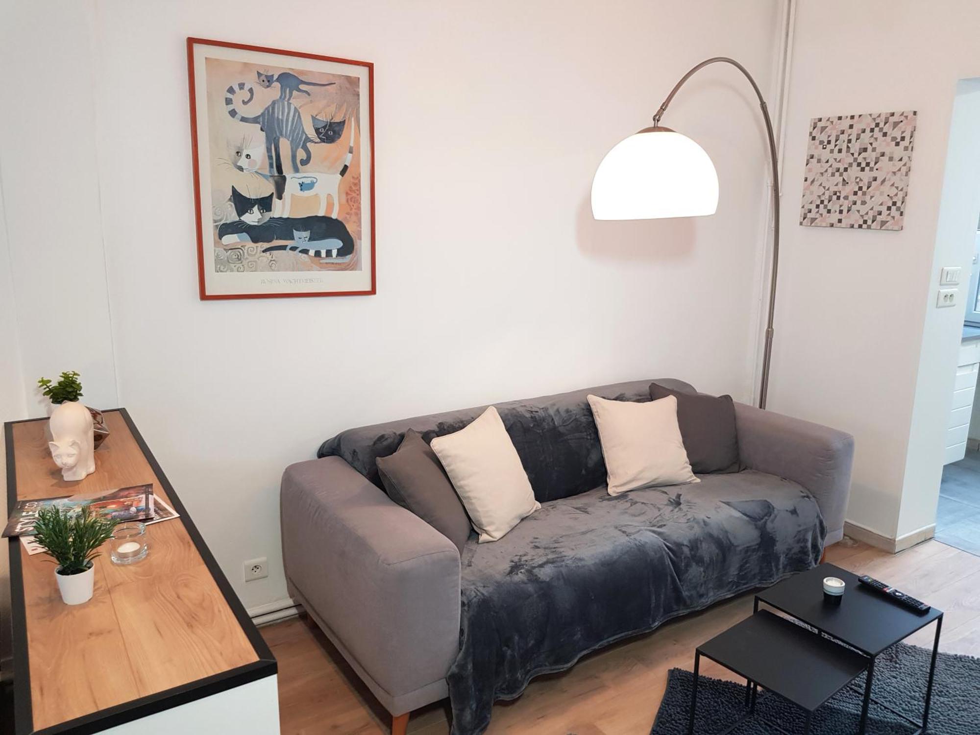 Le Chat D'Or - 35M2 - Terrasse - Bbq - Wifi Hd Амиен Екстериор снимка